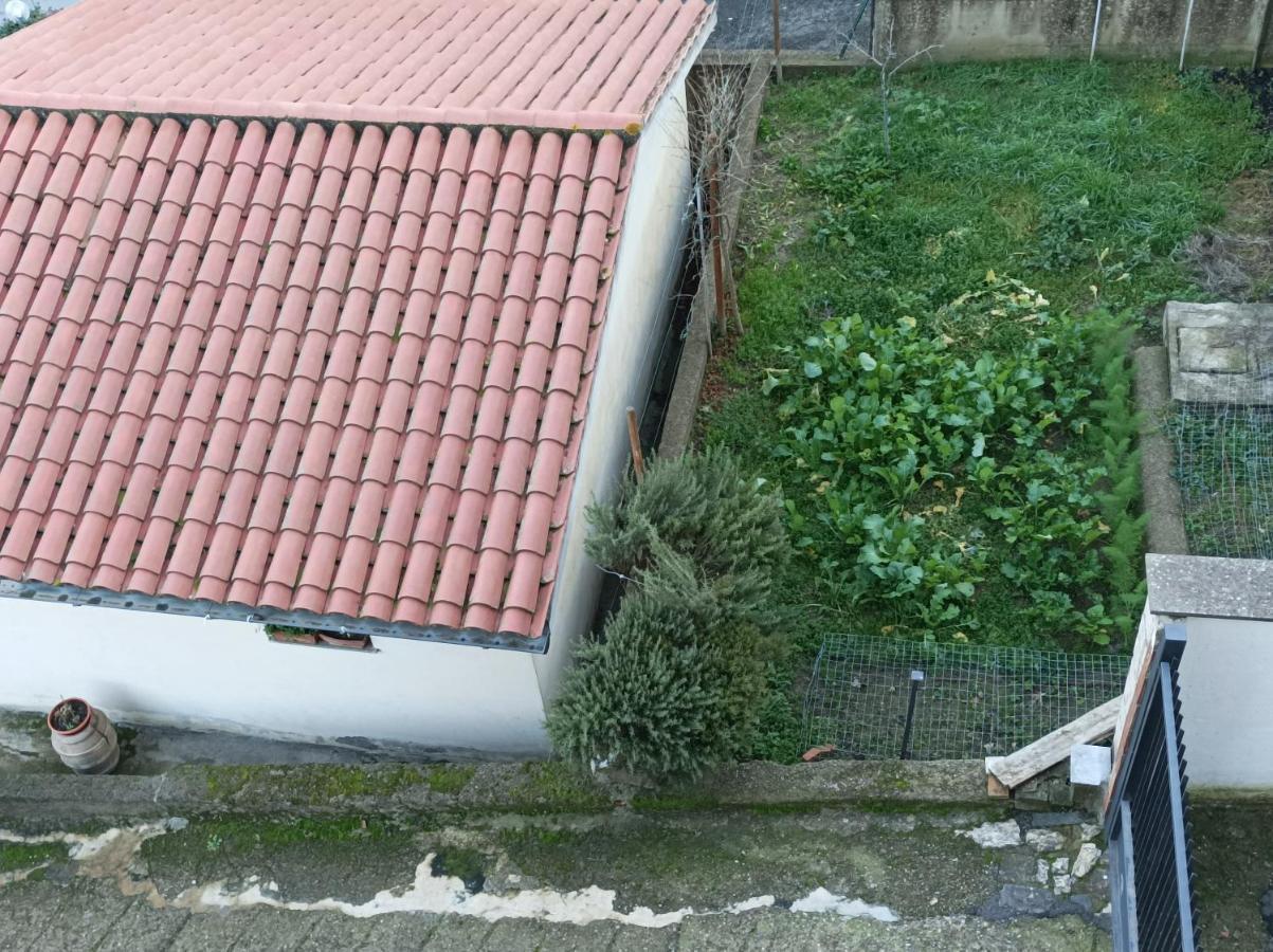 Affittacamere Piagge Orvieto Kültér fotó